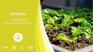 MÓDULO | Viveros - Módulo 4: Serie de Reforestación
