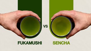 Fukamushi vs Sencha - Whats the Difference Between Fukamushi Sencha vs Sencha