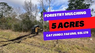 Clearing 5 acres in Florida with Forestry Mulcher for new home build. | Tree Shop