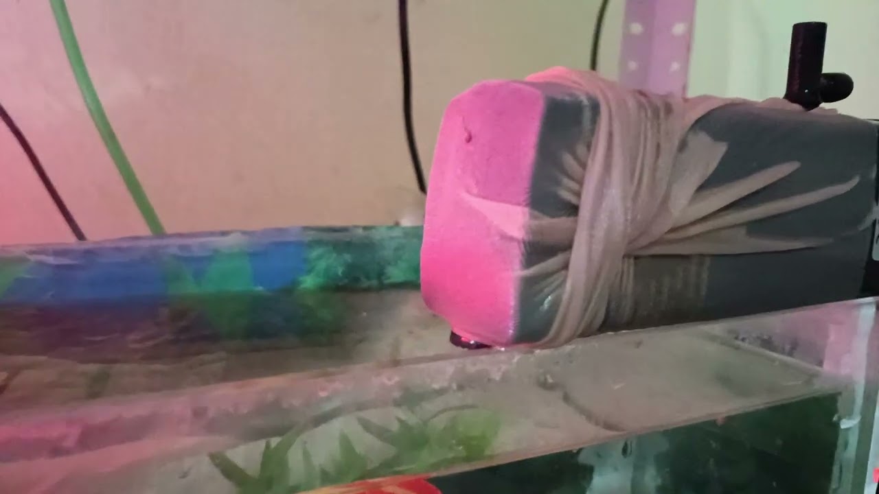 truco para que tu filtro no aspire alevines y gambas