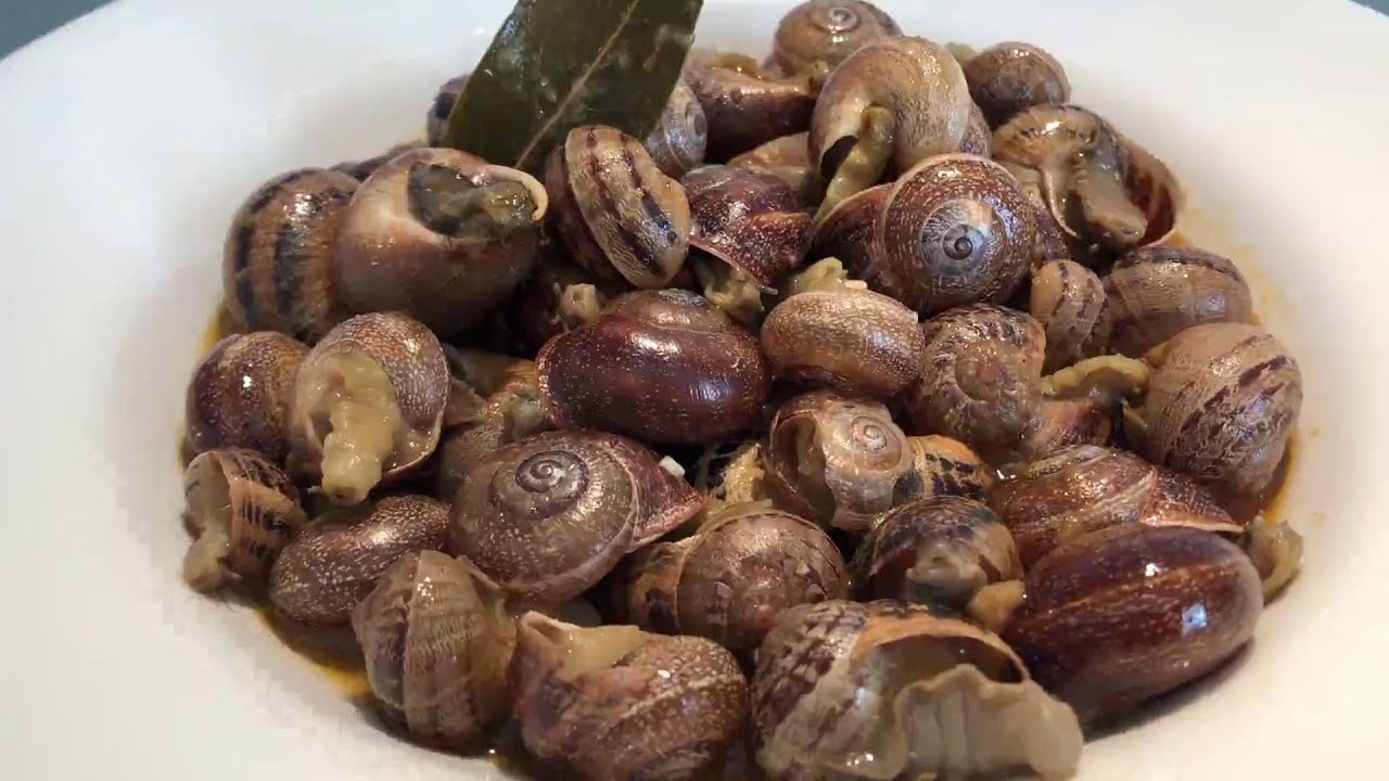 CARACOLES GUISADOS AL ESTILO DE LA ABUELA/ TRUCOS DEL CHEF/ RECETA FACIL Y SENCILLA