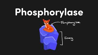 Metabolism Memorization Made Easy: Enzyme Names | MCAT Content