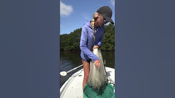 How to get bait out of your Ahi USA cast net with Chasten Whitfield #CastNet #catchingbait