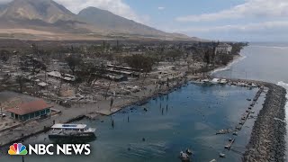Hawaii officials ask for DNA samples to help identify fire victims