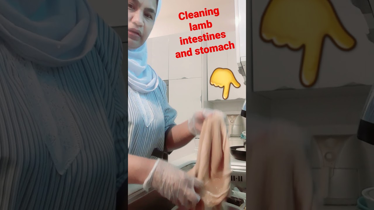 Intestines and stomach of lamb 