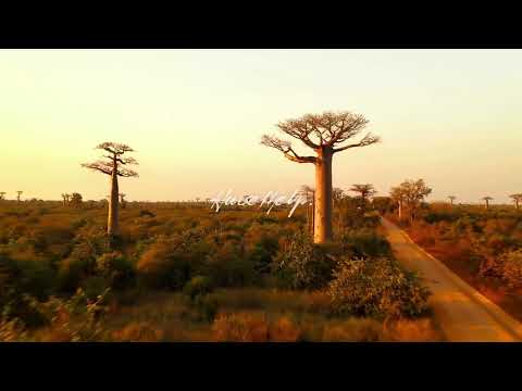 Shimza x AR/CO x Kasango - Fire Fire (Da Capo x Native P. Remix)