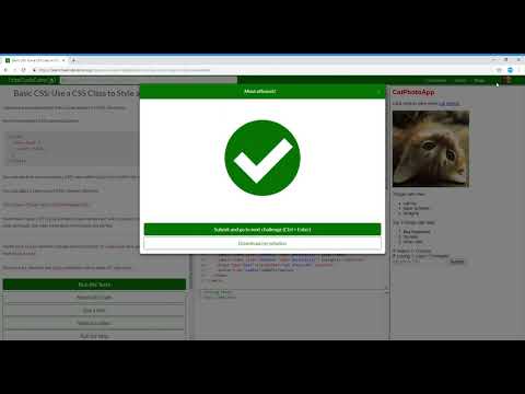 Basic CSS  Use a CSS Class to Style an Element  3/44 Learn freeCodeCamp