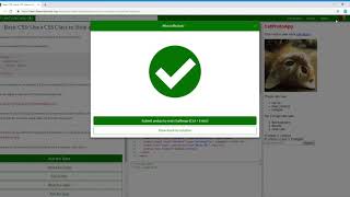 Basic Css Use A Css Class To Style An Element 344 Learn Freecodecamp