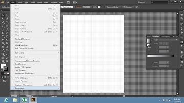 How to Change Grid Size in Adobe Illustrator CS6
