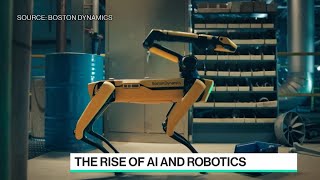Robots Soon to Be Out Among Us, Says Boston Dynamics CEO
