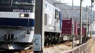 JR山陽本線　貨物列車　EF210ー116
