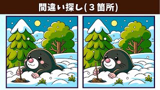 Find 3 Differences | Illustration Version #1455