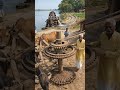 बैलों की ताकत से चलने वाला देसी सिंचाई सिस्टम 😲🚜.#trending#ai #funny #viral #farming