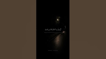 فَرِحينَ بِما آتاهُمُ اللَّهُ مِن فَضلِهِ | محمد صديق المنشاوي | سورة آل عمران