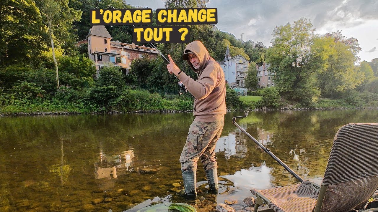 Barbeau fou après l’orage ? Mythe ou réalité ?