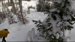11/05/2022 - Finding Fun in Paradise Trees - Brian Head, UT [Opening Weekend]