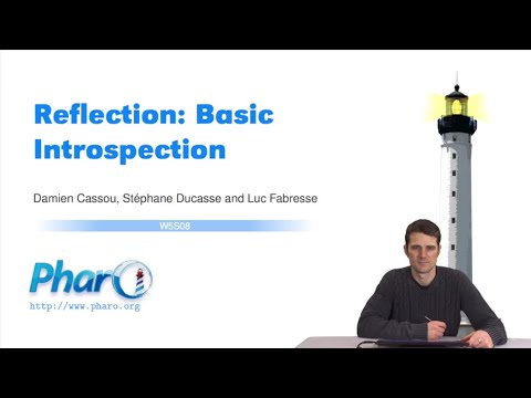 🔮 Reflection: Basic Introspection [W5S8-EN]
