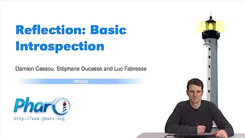 🔮 Reflection: Basic Introspection [W5S8-EN]