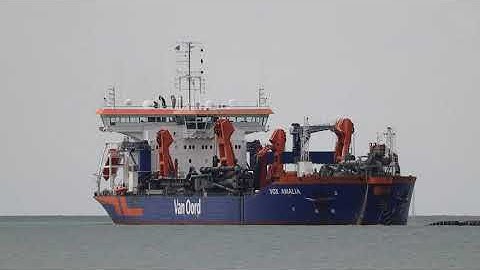 Vox Amalia