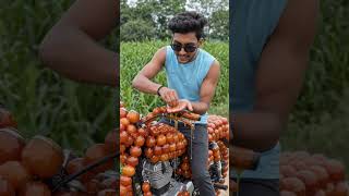 “I Rode a Gulab Jamun Bike… And It Looked REAL! 🤯