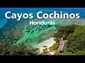 🇭🇳😍 Este lugar es un paraíso | Cayos Cochinos, Islas de la Bahía Honduras.