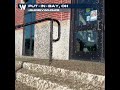 Mayflies Overtake Ohio Visitor Center