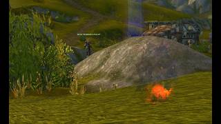 Turtle WoW Capybara - Feral Druid with Arm War gaming screenshot 4