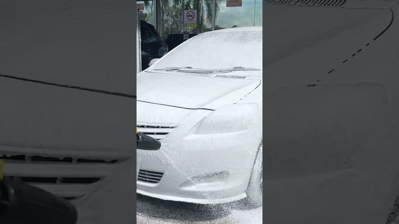 Achieve A Spotless, Shiny Car Finish With Our Shark Wax Shampoo 🚗 