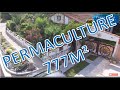 Permaculture sur 777m par permafutur