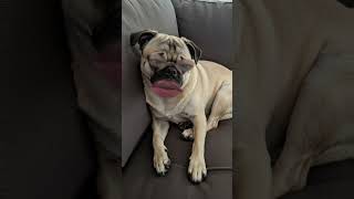 Blow This Account Up