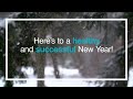 Happy Holidays from SLAS!