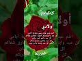 تهنئة عيد الفطر      لأولادي   حالات واتس اب عيد الفطر      اغاني العيد     اجمل حالات واتس اب