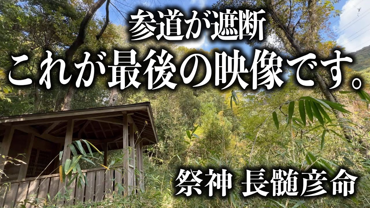 参道が遮断！『ナガスネヒコはココに祀られた』石切劔箭神社 宮山　最後の映像