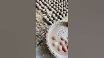 Egg processing method sharing