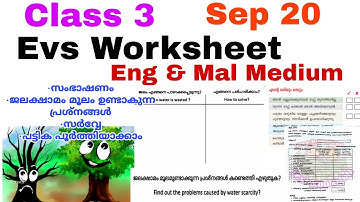 Class 3 Evs Worksheet Sep 20/3 rd std evs worksheet 20/9/21/Std 3 evs worksheet 20/9/21/Eng & Mal