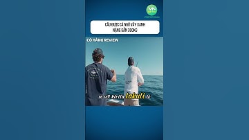 Câu được cá ngừ vây xanh nặng gần 300kg, giá hơn 180 triệu #shorts #khampha #danhbatca