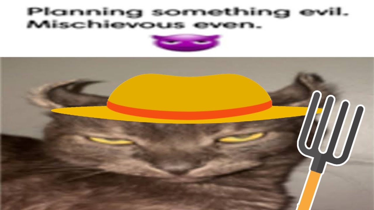 We played TOWN TRAITOR in Wolvesville Customs