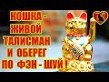 Кошка - Живой Талисман и Домашний Оберег по Фэн - Шуй!!!