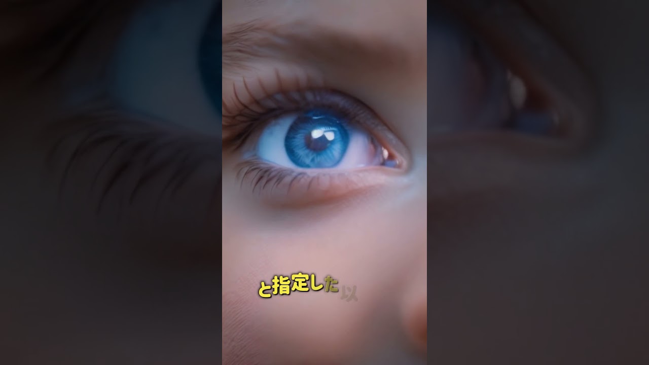 Japanese Promo Video - EditorsPro