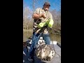 Massive white bass run 2024 catching spawning white bass every cast