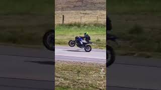 YAMAHA MT03 WHEELIE AKRAPOVIC FULL SYSTEM #mt03 #shorts #yamaha #wheelie