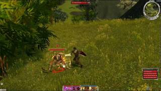 Guildwars Bully Jack - Tsumei Village and Shing Jea Monastery