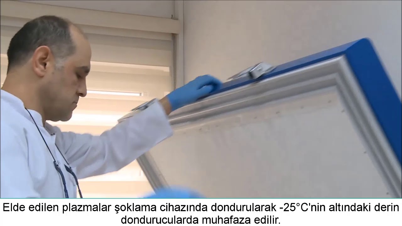 Kan bağışı sonrası kana uygulanan islemler