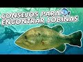 PESCA LOBINAS EN CUALQUIER EMBALSE 😱