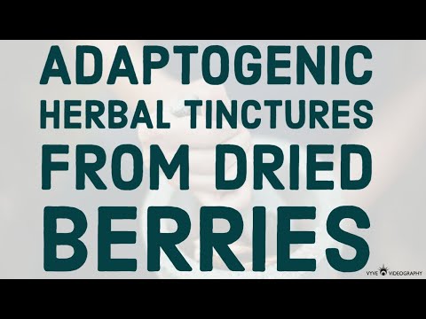 ADAPTOGENIC HERBAL TINCTURES  FROM DRIED BERRIES