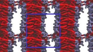 bilayer self assembly