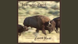 In the Shadow of the Sun - Harmonicearth