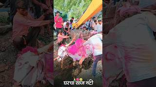 एका बैलाची अंत्ययात्रा ही फक्त शेतकऱ्यांच्याच घरामध्ये होऊ शकते 🥹🥲  nad ekach bailgada sharyat #like