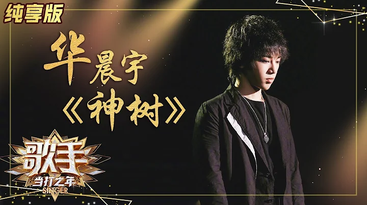 【純享版】華晨宇《神樹》極致震撼 呼籲大家保護自然 《歌手·當打之年》Singer 2020【湖南衛視官方HD】 - 天天要聞