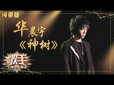 【纯享版】华晨宇《神树》极致震撼 呼吁大家保护自然 《歌手·当打之年》Singer 2020【湖南卫视官方HD】